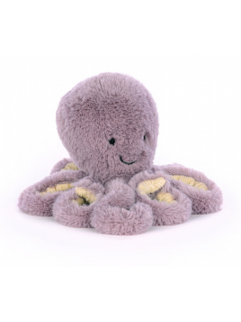 Poulpe Maya Octopus Baby